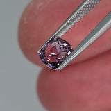 Natural Spinel, 1.61 carat