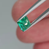 Natural Emerald, 1.26 carat