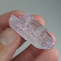 Natural Kunzite Crystal, 117.70 carat