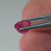 Natural Ruby, 1.66 carat