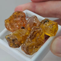 Natural Amber, 63.95 carat total weight