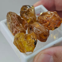 Natural Amber, 63.95 carat total weight