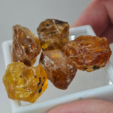 Natural Amber, 63.95 carat total weight