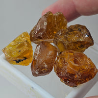 Natural Amber, 63.95 carat total weight