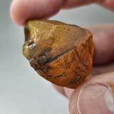 Natural Amber, 28.87 carat