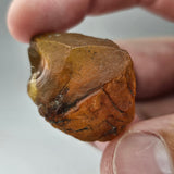 Natural Amber, 28.87 carat