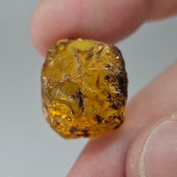 Natural Amber, 11.07 carat