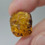 Natural Amber, 11.07 carat