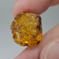 Natural Amber, 11.07 carat