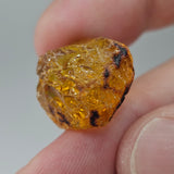 Natural Amber, 11.07 carat