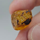 Natural Amber, 11.07 carat