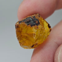 Natural Amber, 11.07 carat