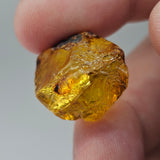 Natural Amber, 11.07 carat