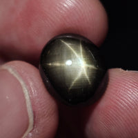 Natural Black Star Sapphire, 13.83 carat