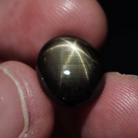 Natural Black Star Sapphire, 13.83 carat