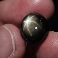 Natural Black Star Sapphire, 13.83 carat