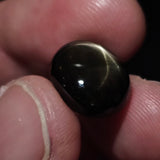 Natural Black Star Sapphire, 13.83 carat