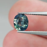 Natural Sapphire, 1.24 carat