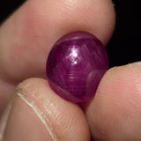 Natural Star Ruby, 7.71 carat
