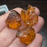 Natural Amber, 43.75 carat total weight