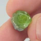 Natural Peridot, 12.36 carat