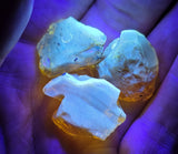 Natural Amber, 43.75 carat total weight