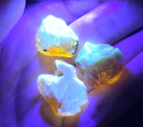 Natural Amber, 43.75 carat total weight