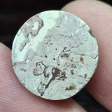 Genuine Galaxy Opal, 12.60 carat