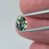 Natural Sapphire, 1.20 carat