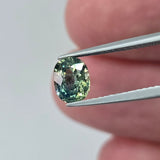 Natural Sapphire, 1.20 carat