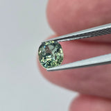 Natural Sapphire, 1.20 carat