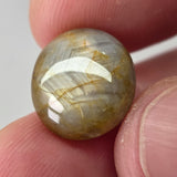 Natural Star Sapphire, 15.33 carat