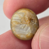 Natural Star Sapphire, 15.33 carat