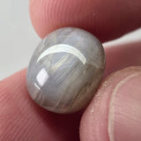 Natural Star Sapphire, 12.79 carat