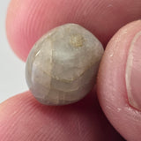 Natural Star Sapphire, 12.79 carat