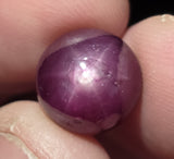 Natural Star Ruby, 9.95 carat