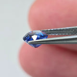 Natural Sapphire, 1.60 carat