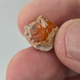Natural Opal, 9.75 carat