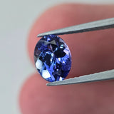 Natural Tanzanite, 1.55 carat