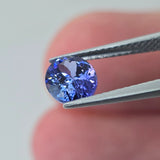 Natural Tanzanite, 1.55 carat
