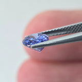 Natural Tanzanite, 1.55 carat