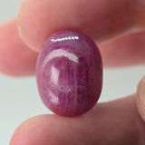 Natural Ruby, 24.39 carat