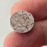 Genuine Galaxy Opal, 9.55 carat