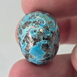 Natural Turquoise, 48.87 carat Natural Earth Gems LLC