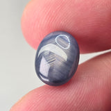 Natural Sapphire, 8.79 carat Natural Earth Gems LLC