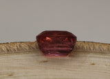 Natural Tourmaline, 2.44 carat