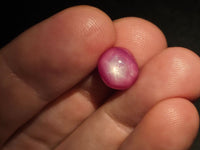 Natural Star Ruby, 6.75 carat