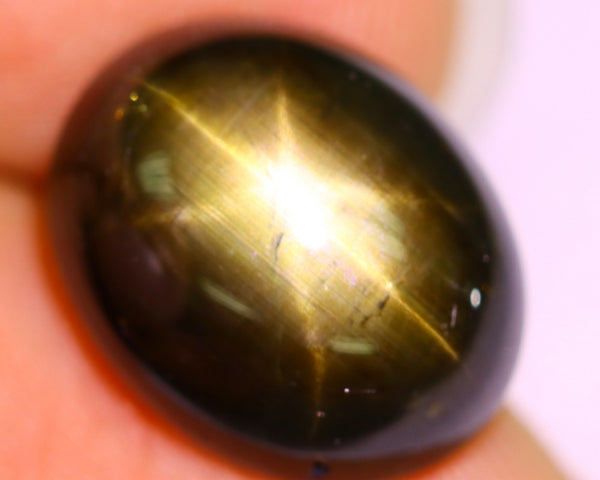 Natural Black Star Sapphire, 12.93 carat