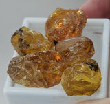 Natural Amber, 63.95 carat total weight