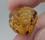 Natural Amber, 11.07 carat